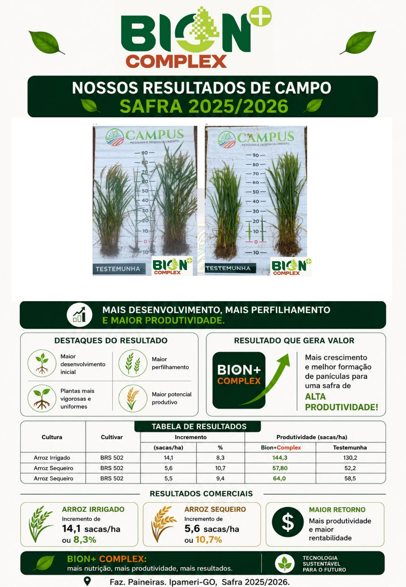 Resultados de Arroz fornecidos pela Biocarbo